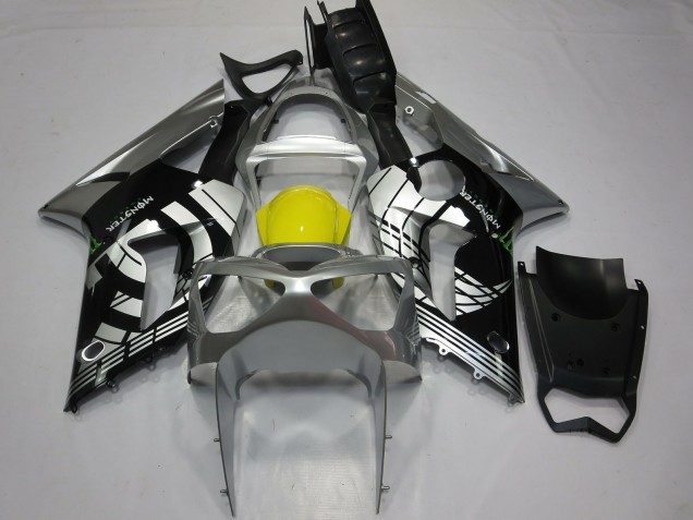 2003-2004 Benutzerdefiniert Spezial Kawasaki ZX6R Motorrad Verkleidung