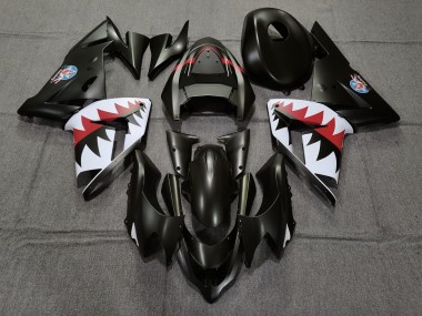 2004-2005 Matt Schwarzer Betty Bomber Kawasaki ZX10R Motorrad Verkleidung