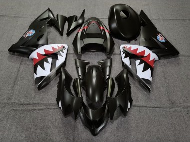 2004-2005 Matt Schwarzer Betty Bomber Kawasaki ZX10R Motorrad Verkleidung