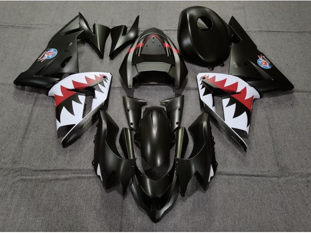 2004-2005 Matt Schwarzer Betty Bomber Kawasaki ZX10R Motorrad Verkleidung