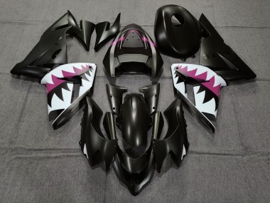 2004-2005 Matt Schwarzer & Rosa Hai Kawasaki ZX10R Motorrad Verkleidung