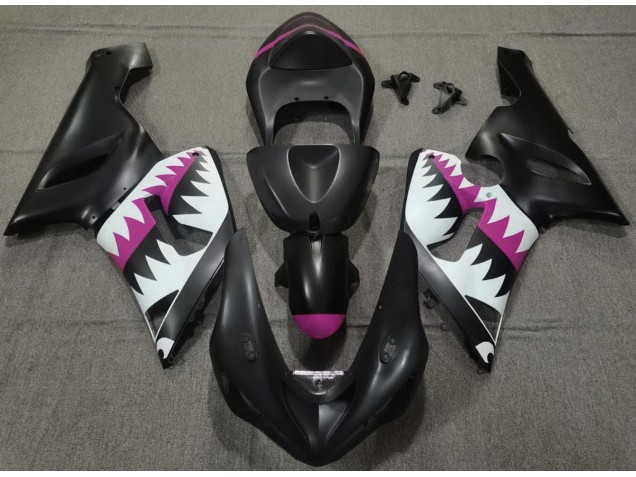 2005-2006 Matt Schwarzer & Rosa Hai Kawasaki ZX6R Motorrad Verkleidung