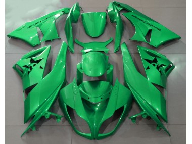 2009-2012 Glänzendes Grün & Benutzerdefinierte Logos Kawasaki ZX6R Motorrad Verkleidung