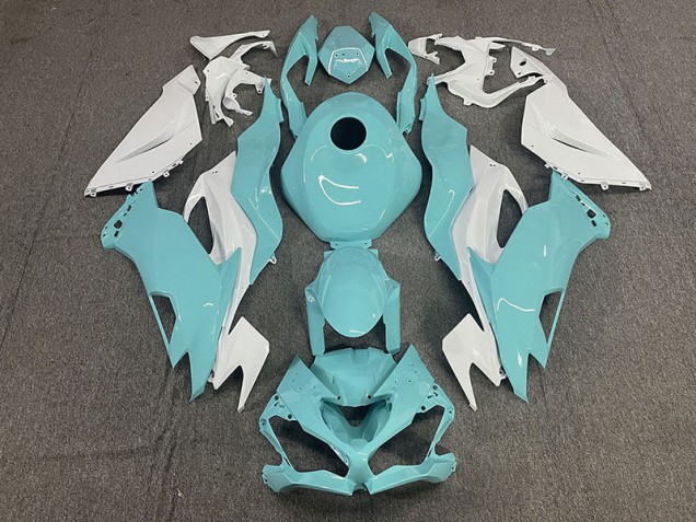 2019-2023 Aqua Kawasaki ZX6R Motorrad Verkleidung