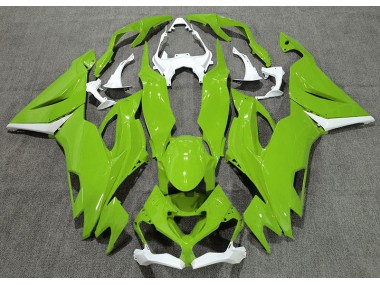 2019-2023 Glänzend Grün & Weiß Kawasaki ZX6R Motorrad Verkleidung