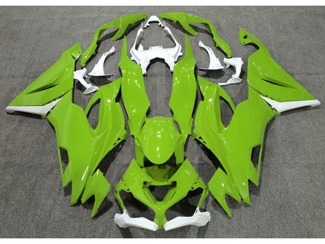 2019-2023 Glänzend Grün & Weiß Kawasaki ZX6R Motorrad Verkleidung 2019-2023 Glänzend Grün & Weiß Kawasaki ZX6R Motorrad Verkleidung